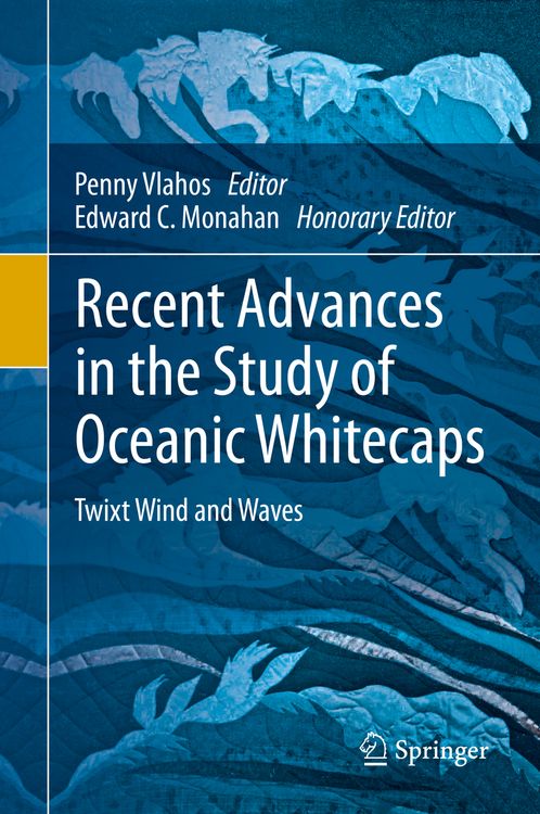 Produktbild: Recent Advances in the Study of Oceanic Whitecaps