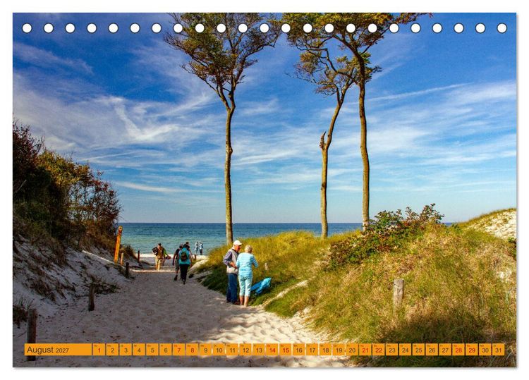 Produktbild: Wilder Dar&szlig;er Weststrand (Tischkalender 2027 DIN A5 quer), CALVENDO Monatskalender