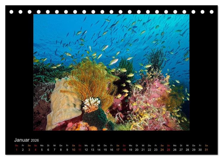Produktbild: OCEAN - ART (Tischkalender 2026 DIN A5 quer), CALVENDO Monatskalender