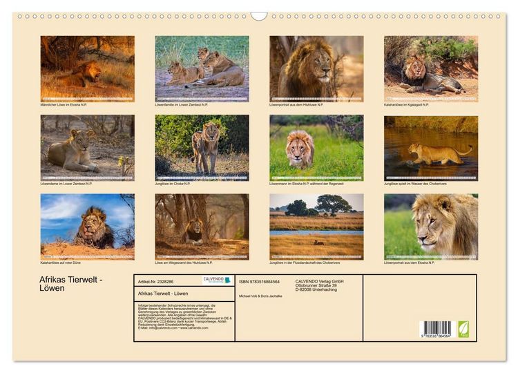 Produktbild: Afrikas Tierwelt - L&ouml;wen (Wandkalender 2027 DIN A2 quer), CALVENDO Monatskalender