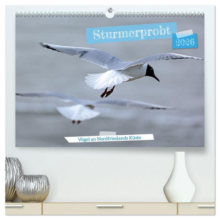 Produktbild: Sturmerprobt - V&ouml;gel an Nordfrieslands K&uuml;ste (hochwertiger Premium Wandkalender 2026 DIN A2 quer), Kunstdruck in Hochglanz