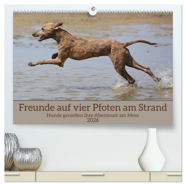 Produktbild: Freunde auf vier Pfoten am Strand (hochwertiger Premium Wandkalender 2026 DIN A2 quer), Kunstdruck in Hochglanz