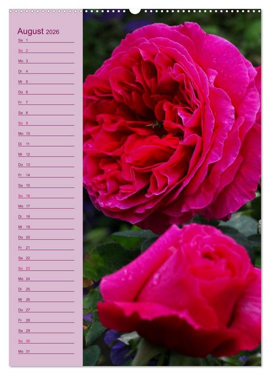 Produktbild: Rosen Symphonie (hochwertiger Premium Wandkalender 2026 DIN A2 hoch), Kunstdruck in Hochglanz