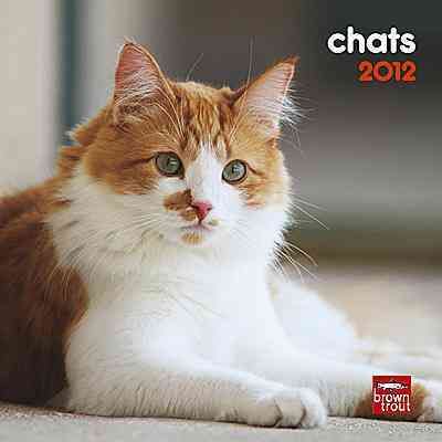 Produktbild: Chats 2012 Calendar