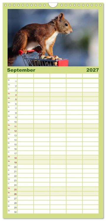Produktbild: Familienplaner 2027 - Eichh&ouml;rnchen Momentaufnahmen f&uuml;rs Herz mit 5 Spalten (Wandkalender, 21 x 45 cm) CALVENDO