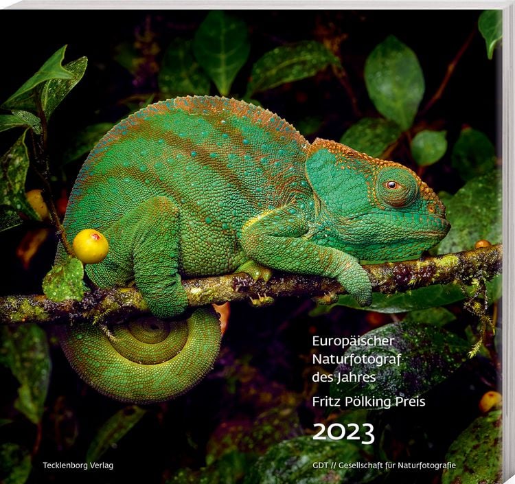 Produktbild: Europ&auml;ischer Naturfotograf des Jahres und Fritz P&ouml;lking Preis 2023