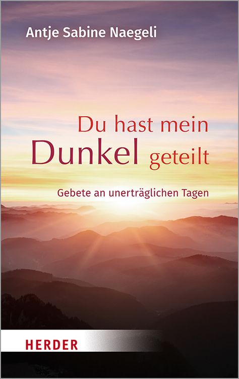 Produktbild: Du hast mein Dunkel geteilt