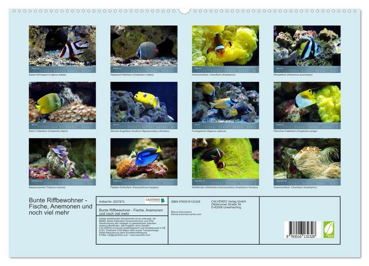Produktbild: Bunte Riffbewohner - Fische, Anemonen und noch viel mehr (hochwertiger Premium Wandkalender 2026 DIN A2 quer), Kunstdruck in Hochglanz