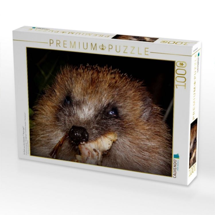 Produktbild: CALVENDO Puzzle Ein Motiv aus dem Kalender " Meine Igel" | 1000 Teile Lege-Gr&ouml;&szlig;e 64x48cm Foto-Puzzle f&uuml;r gl&uuml;ckliche Stunden