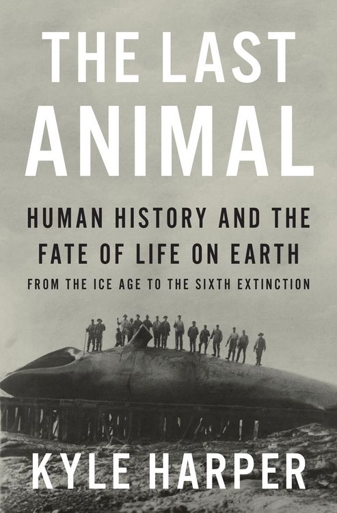 Produktbild: The Last Animal