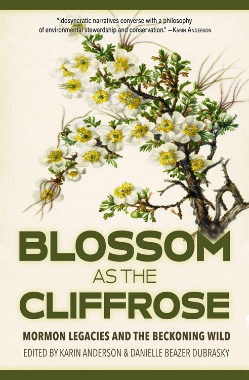 Produktbild: Blossom as the Cliffrose