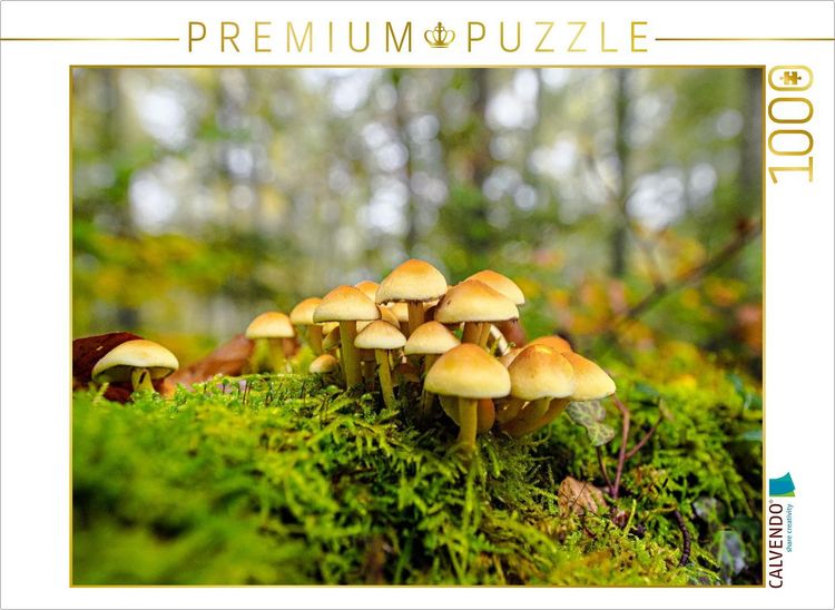 Produktbild: CALVENDO Puzzle Schwefelkopf | 1000 Teile Lege-Gr&ouml;&szlig;e 64x48cm Foto-Puzzle f&uuml;r gl&uuml;ckliche Stunden