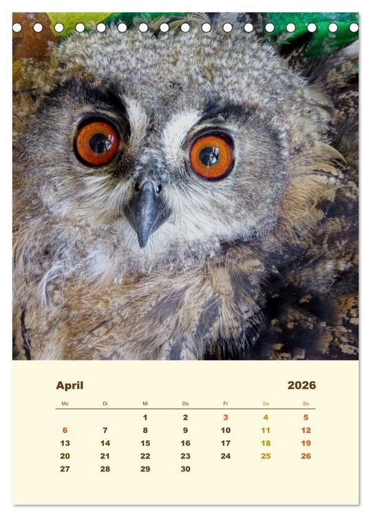 Produktbild: Uhu, die Faszination bernsteinfarbener Augen (Tischkalender 2026 DIN A5 hoch), CALVENDO Monatskalender