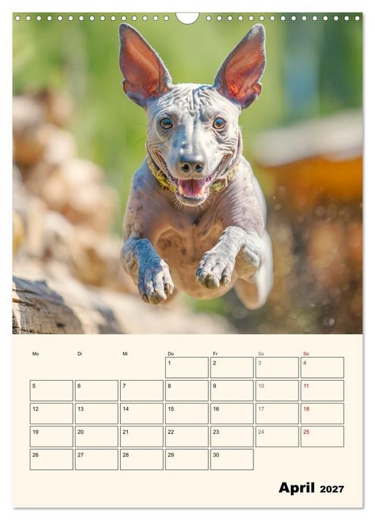 Produktbild: Xolos. Seelenhunde aus Mexiko (Wandkalender 2027 DIN A3 hoch), CALVENDO Monatskalender
