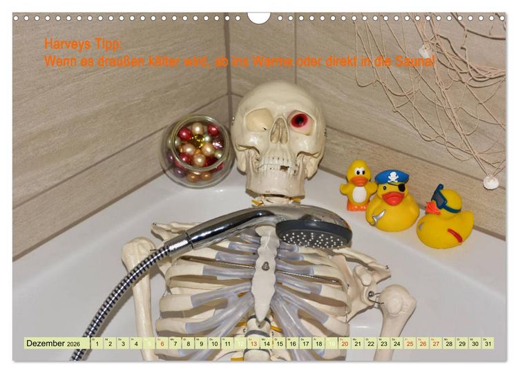 Produktbild: Harvey, der Heilpraktiker (Wandkalender 2026 DIN A3 quer), CALVENDO Monatskalender