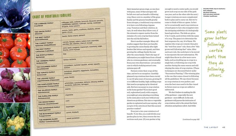Produktbild: The Four Season Farm Gardener's Cookbook