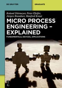 Produktbild: Micro Process Engineering - Explained