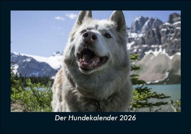 Produktbild: Der Hundekalender 2026 Fotokalender DIN A5