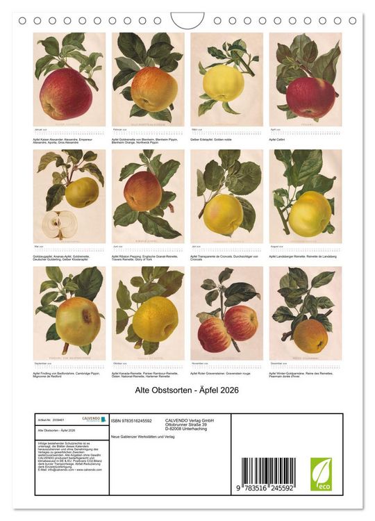 Produktbild: Alte Obstsorten - &Auml;pfel 2026 (Wandkalender 2026 DIN A4 hoch), CALVENDO Monatskalender
