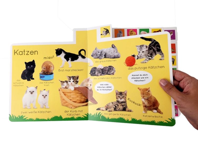 Produktbild: Erstes Lernen. Tierkinder