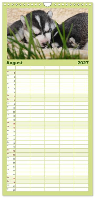 Produktbild: Familienplaner 2027 - Huskys - Traumhunde mit 5 Spalten (Wandkalender, 21 x 45 cm) CALVENDO