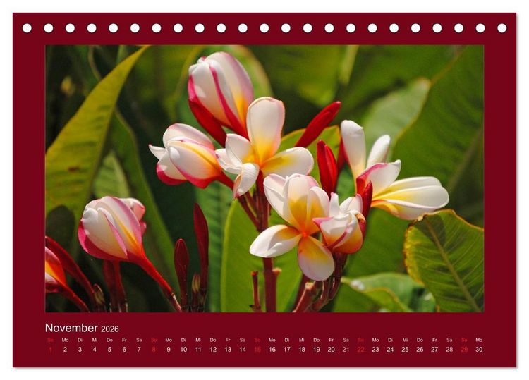 Produktbild: Aloha Bl&uuml;tenzauber aus Hawaii (Tischkalender 2026 DIN A5 quer), CALVENDO Monatskalender