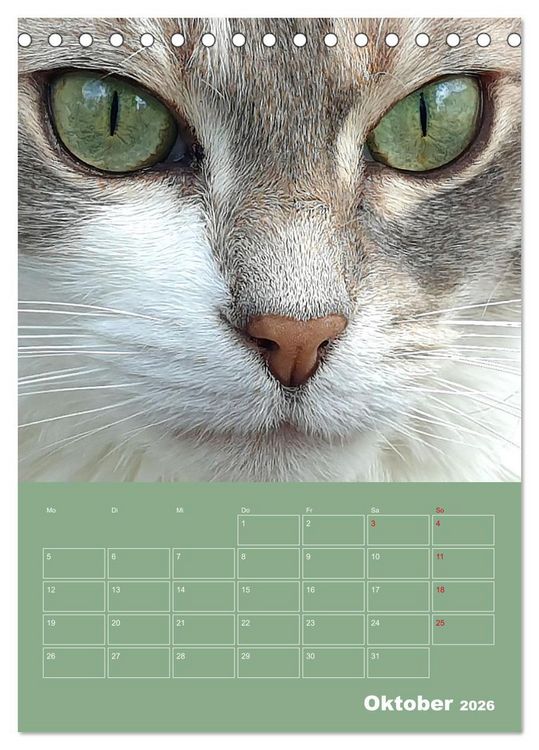 Produktbild: Cat Faces - Charakterstarke Katzengesichter ganz nah (Tischkalender 2026 DIN A5 hoch), CALVENDO Monatskalender