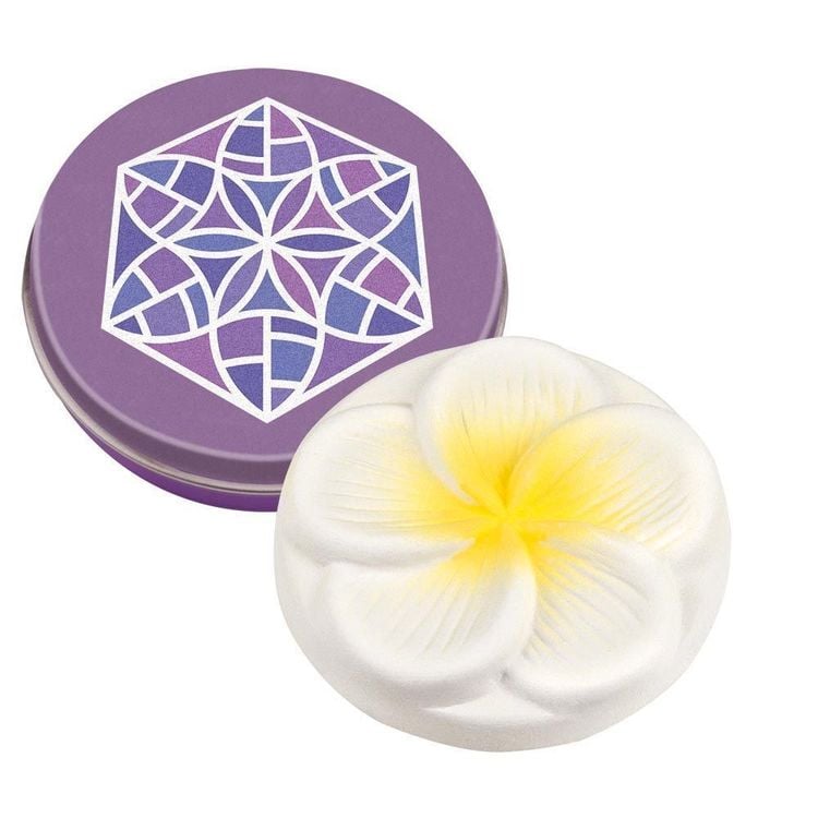 Produktbild: Taoasis Duftstein mini Frangipani mit Duftsteindose (nur 10er VE)