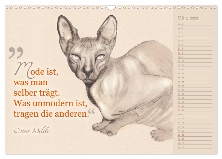 Produktbild: Von Katzen lernen (Wandkalender 2026 DIN A3 quer), CALVENDO Monatskalender