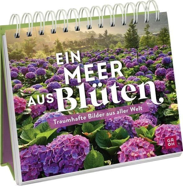 Produktbild: Ein Meer aus Bl&uuml;ten
