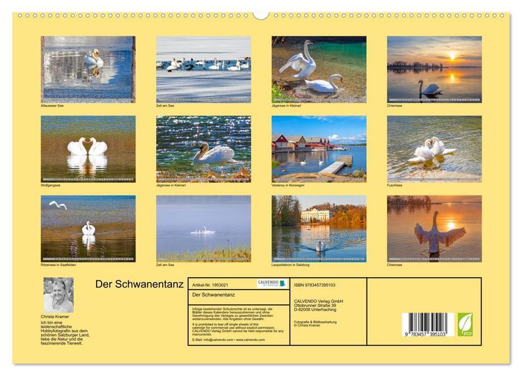 Produktbild: Der Schwanentanz (hochwertiger Premium Wandkalender 2026 DIN A2 quer), Kunstdruck in Hochglanz