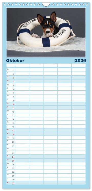 Produktbild: Familienplaner 2026 - Basenji-Sch&ouml;nheiten mit 5 Spalten (Wandkalender, 21 x 45 cm) CALVENDO