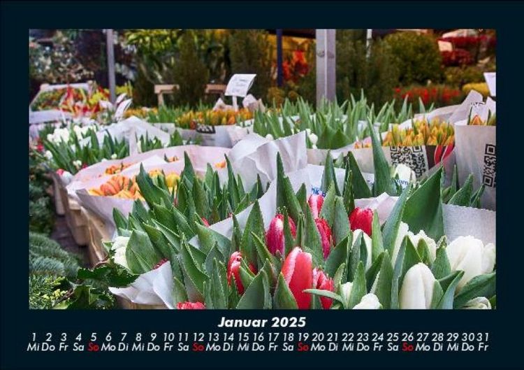 Produktbild: Pflanzen und Bl&uuml;ten 2025 Fotokalender DIN A5