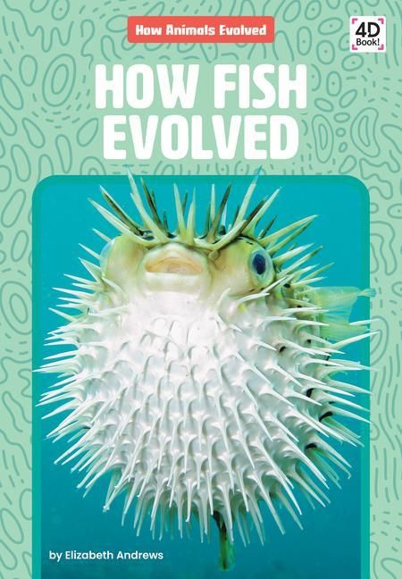Produktbild: How Fish Evolved