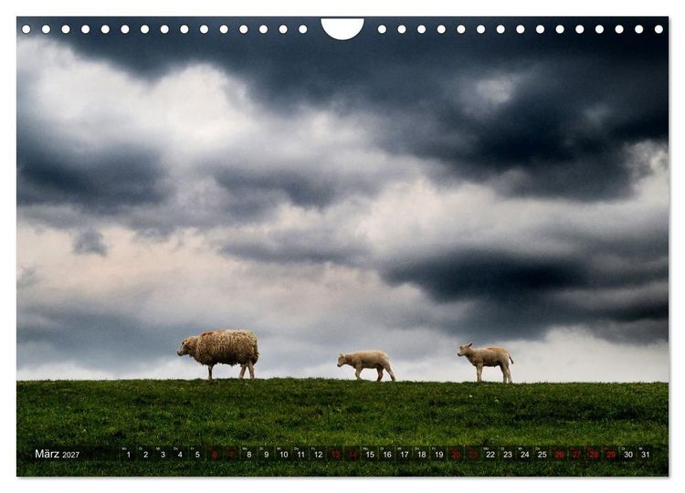 Produktbild: Bis zum Horizont. Der Himmel &uuml;ber Norddeutschland. (Wandkalender 2027 DIN A4 quer), CALVENDO Monatskalender