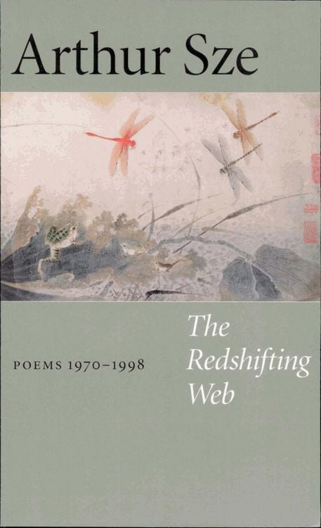 Produktbild: The Redshifting Web