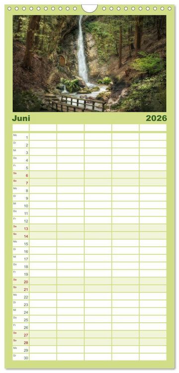 Produktbild: Familienplaner 2026 - Waldgeheimnisse mit 5 Spalten (Wandkalender, 21 x 45 cm) CALVENDO