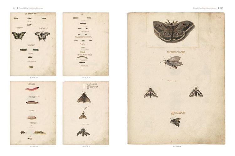Produktbild: Conrad Gessners Thierbuch