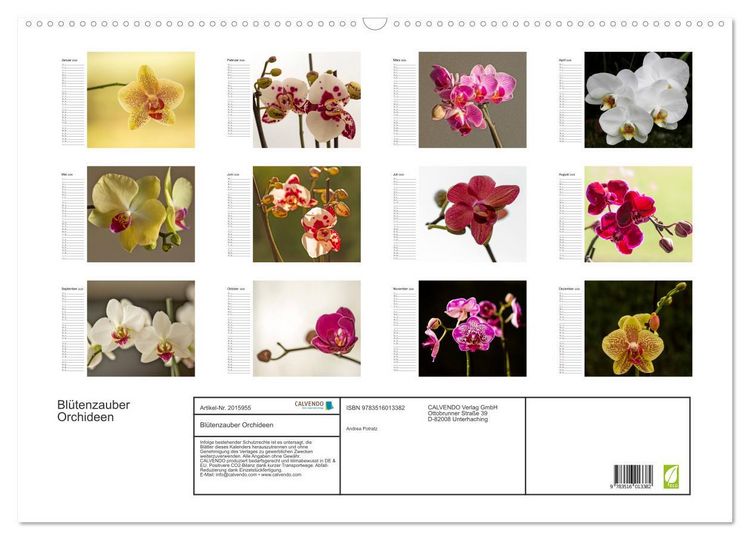 Produktbild: Bl&uuml;tenzauber Orchideen (Wandkalender 2026 DIN A2 quer), CALVENDO Monatskalender