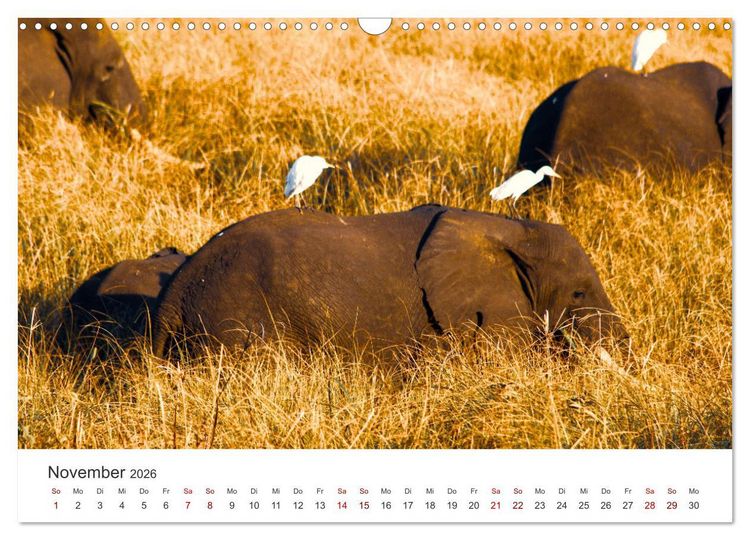 Produktbild: Mosambik - Eine Perle im S&uuml;den Afrikas. (Wandkalender 2026 DIN A3 quer), CALVENDO Monatskalender