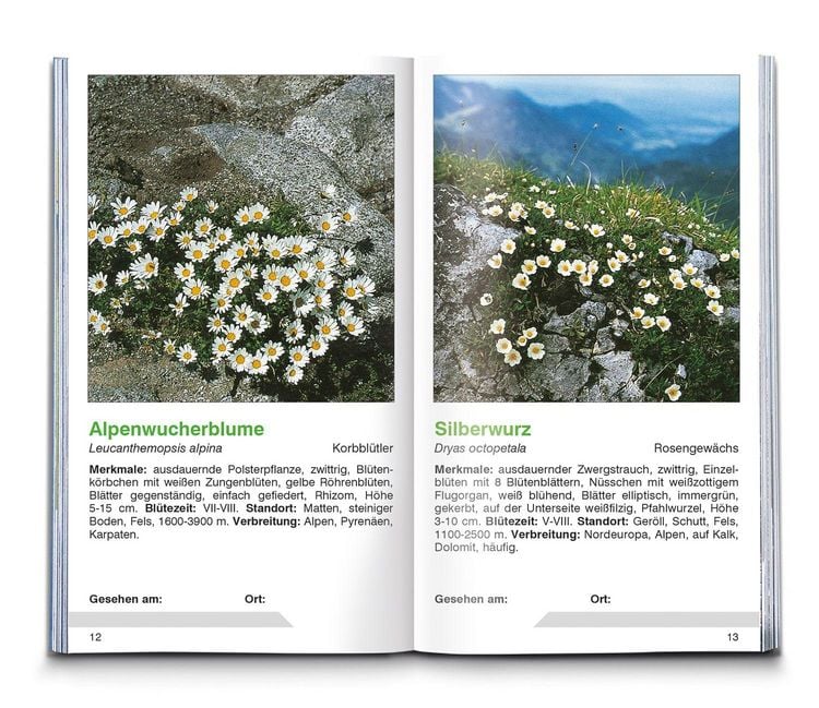Produktbild: Alpenblumen