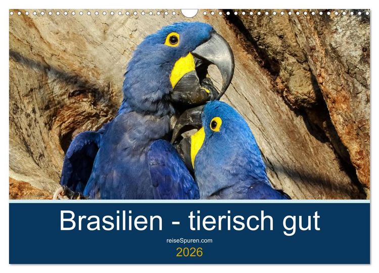 Produktbild: Brasilien tierisch gut 2026 (Wandkalender 2026 DIN A3 quer), CALVENDO Monatskalender