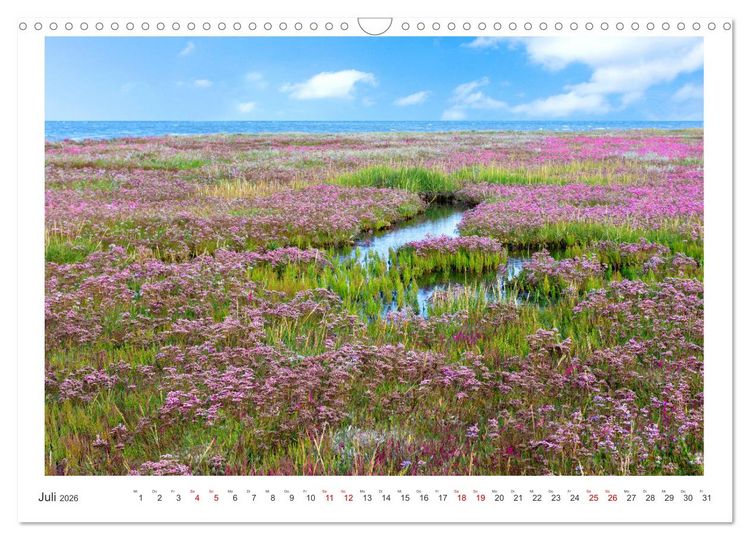 Produktbild: Buntes und bl&uuml;hendes Borkum (Wandkalender 2026 DIN A3 quer), CALVENDO Monatskalender