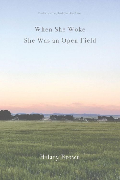 Produktbild: When She Woke She Was an Open Field
