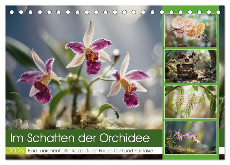 Produktbild: Im Schatten der Orchidee (Tischkalender 2026 DIN A5 quer), CALVENDO Monatskalender