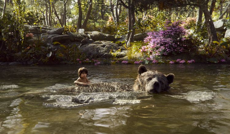 Produktbild: The Jungle Book (4K Ultra HD) (+ Blu-ray 2D)