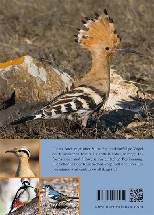 Produktbild: V&ouml;gel auf den Kanarischen Inseln