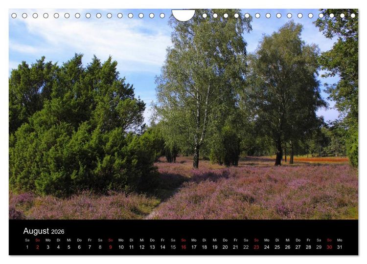 Produktbild: L&uuml;neburg und die L&uuml;neburger Heide (Wandkalender 2026 DIN A4 quer), CALVENDO Monatskalender