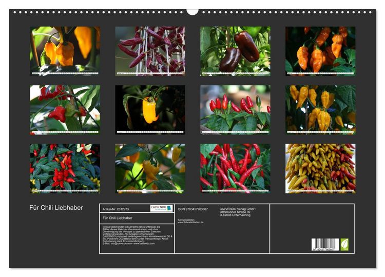 Produktbild: F&uuml;r Chili Liebhaber (Wandkalender 2026 DIN A2 quer), CALVENDO Monatskalender