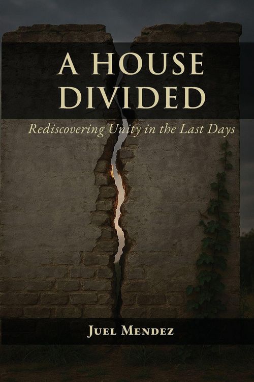 Produktbild: A House Divided